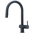 Reginox slavina FLINT Total black